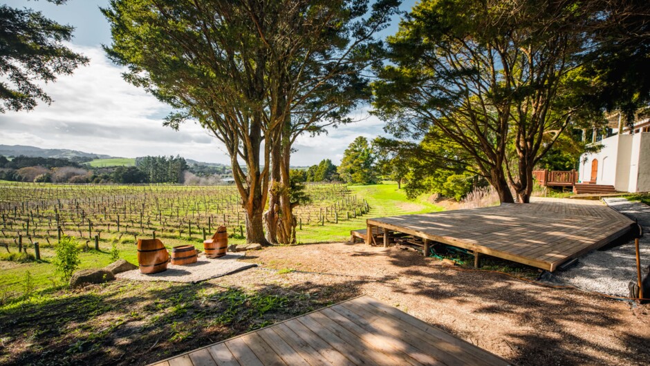 Matakana Estate Vineyard