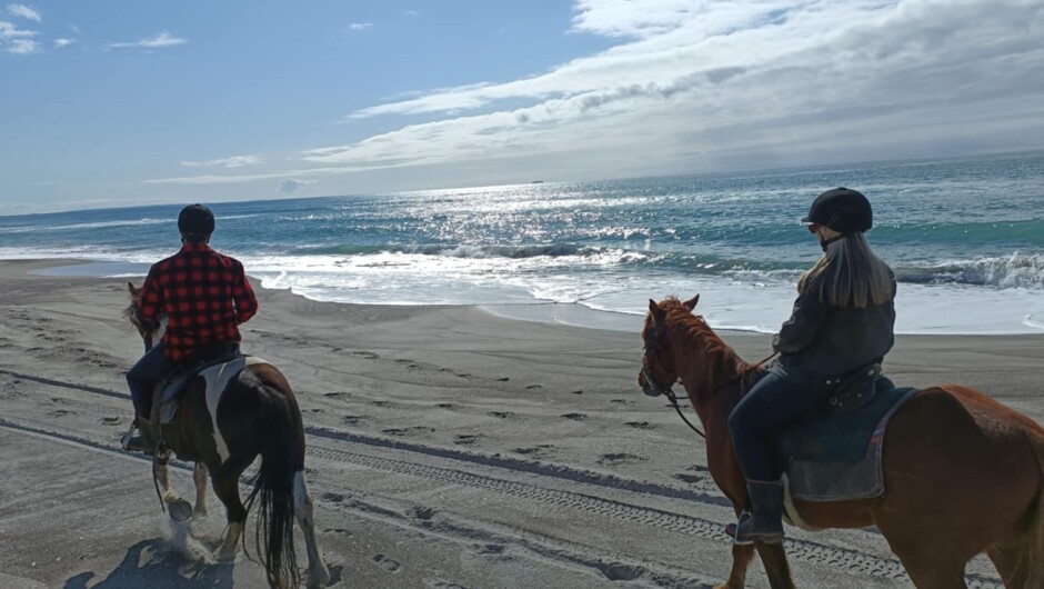 Perfect day out to explore the beach on horseback