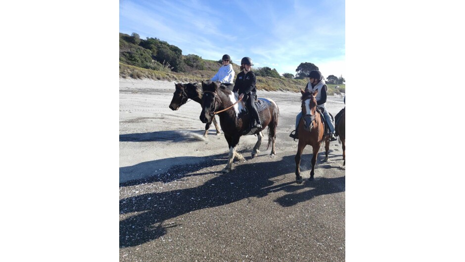 Giddy up. Ladies day out