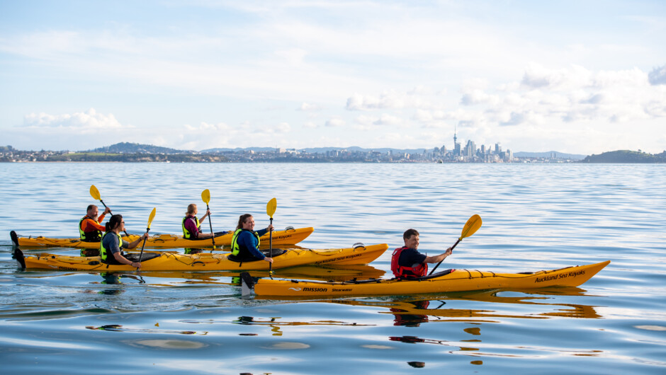 Glassy Kayaking on the Hauraki Gulf