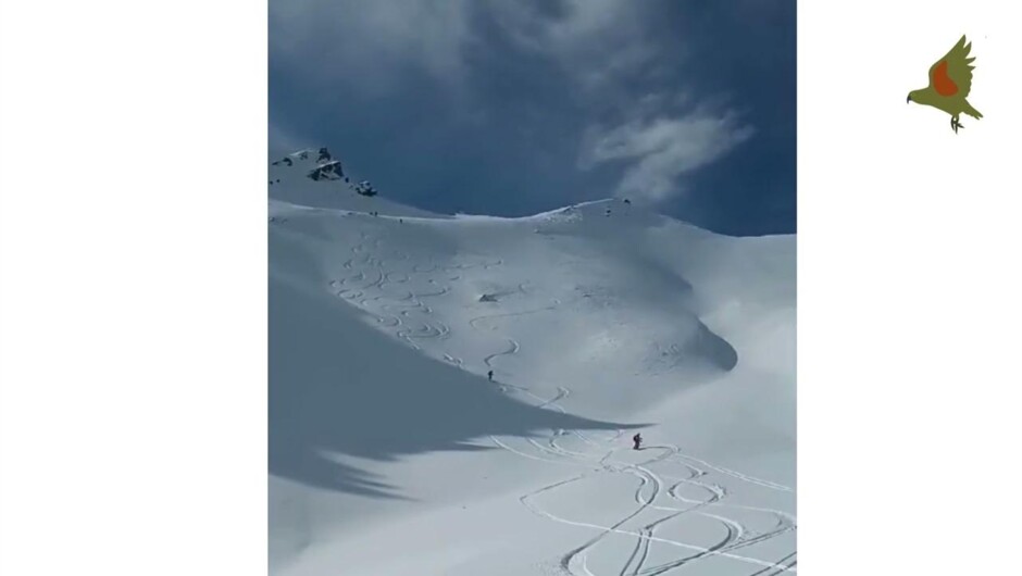 Wanaka Ski and Splitboard Touring and Heli-skiing