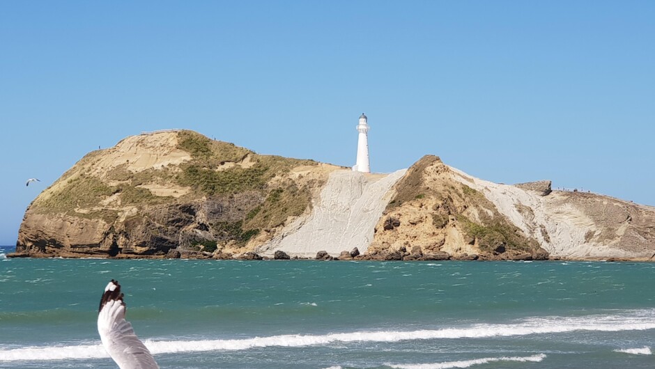 Castlepoint Lighthouse