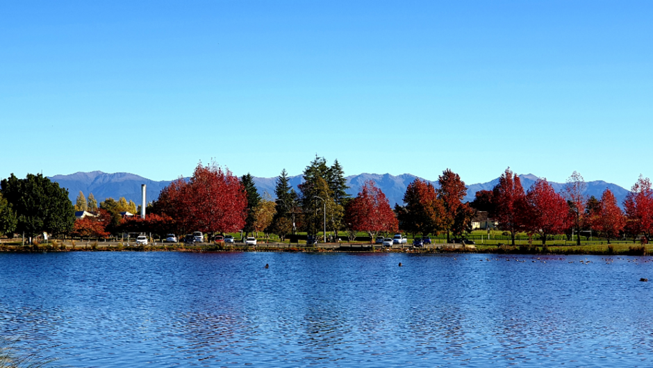 Henley Lake Masterton