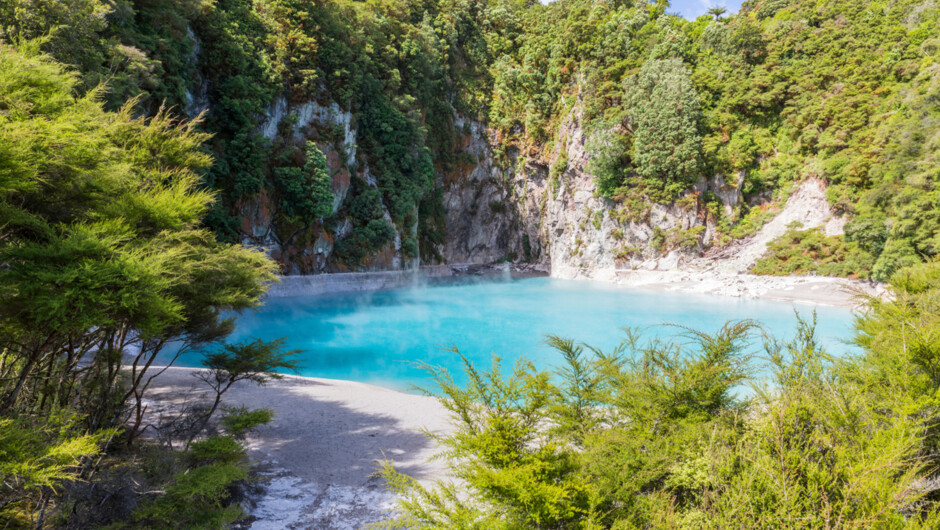 Frying Pan Lake, Waimangu, Rotorua