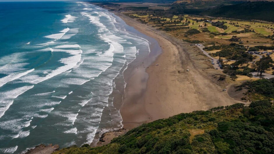 Muriwai Beach, West Coast, Auckland