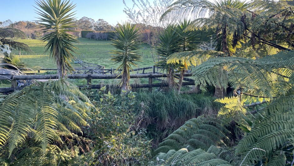 View across the farm from the cabin