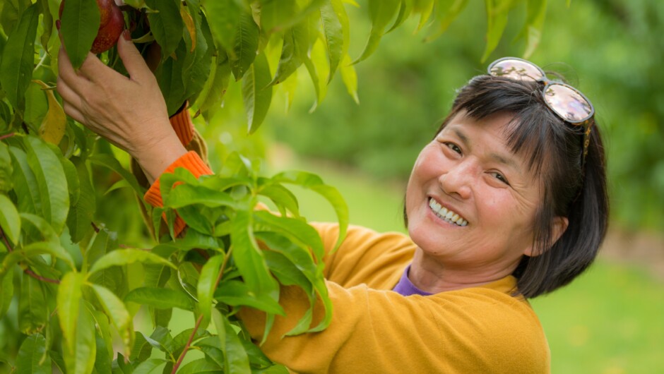 Jackson Orchards Guided Orchard Tour