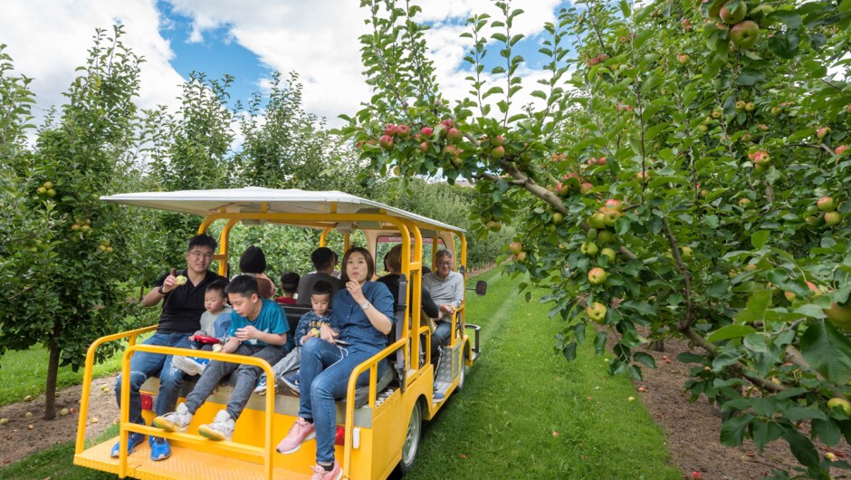 Jackson Orchards Guided Orchard Tour