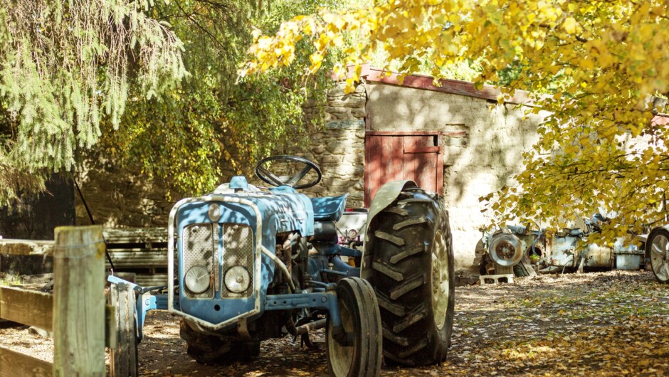 Jackson Orchards In Autumn