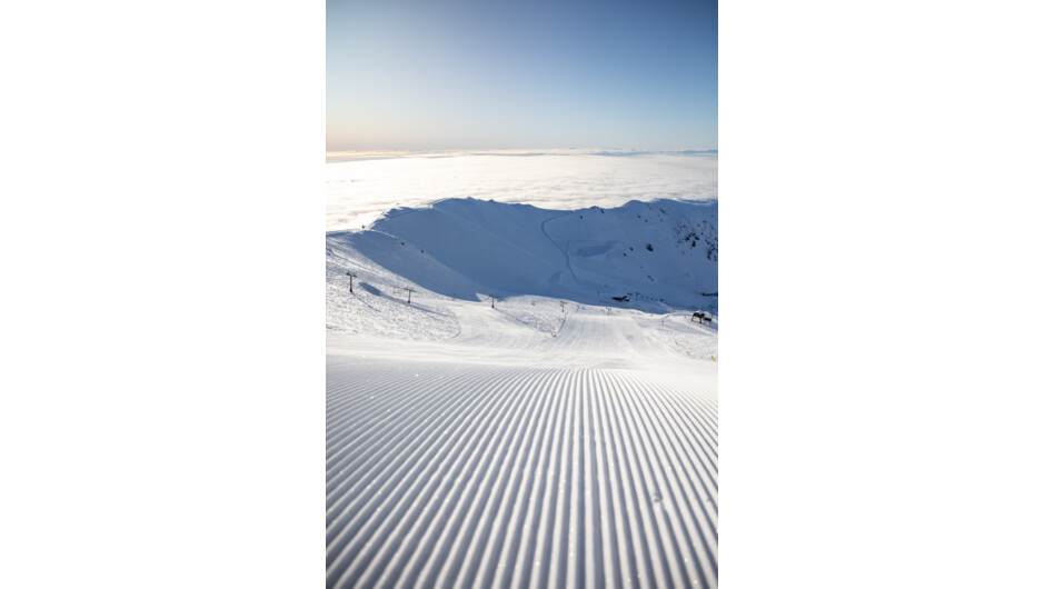 Fresh corduroy