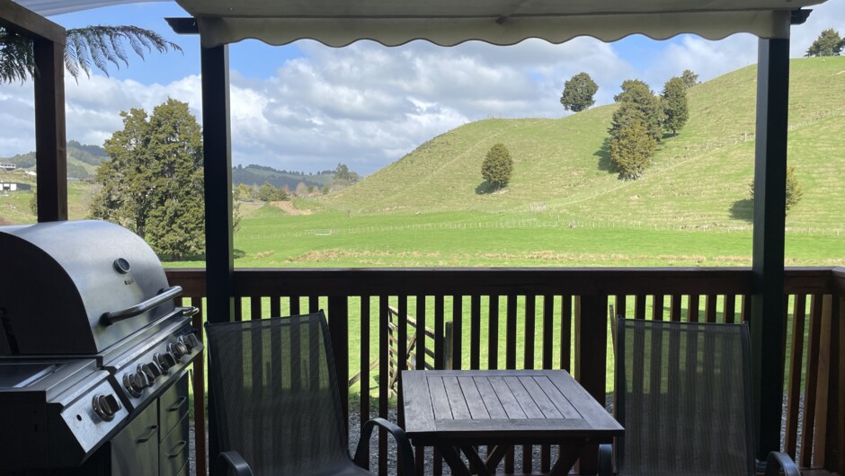 Outdoor area and cabin view