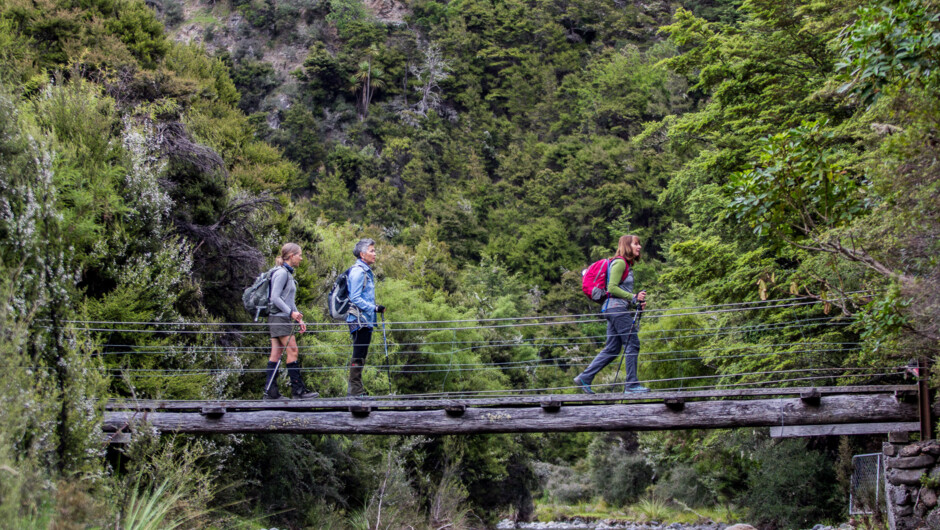 Bridge crossings on the Island Hill trails