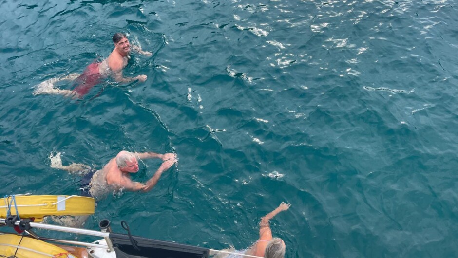 Ocean swims in the Hauraki Gulf