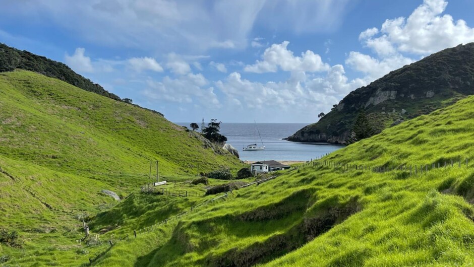 The Hauraki Gulf, New Zealand