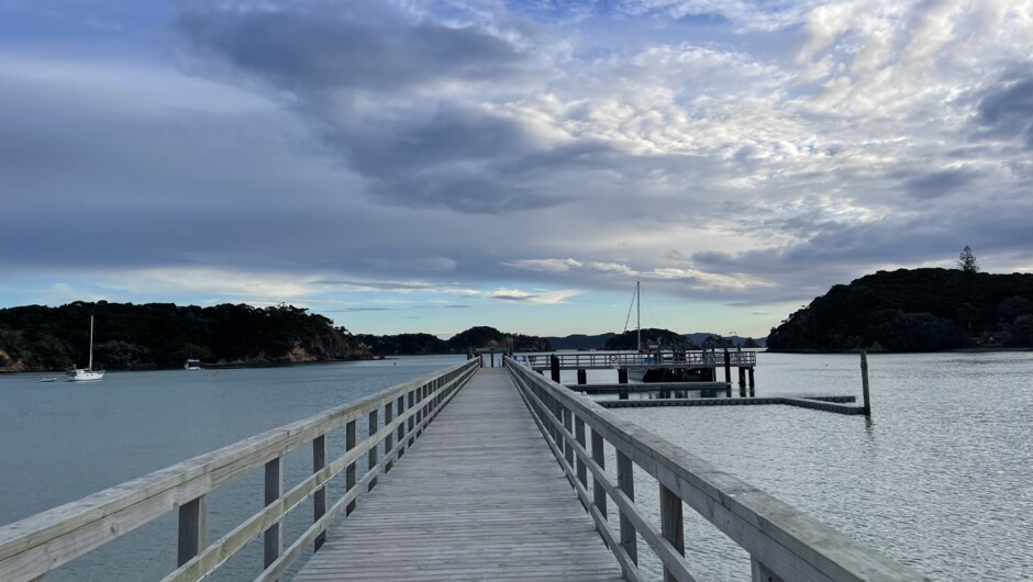 Cruising the bay of islands