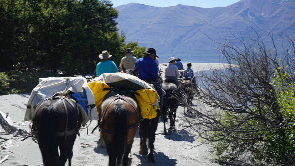 Pack Horses allow us to enter locations others only dream of seeing far from the tourist routes