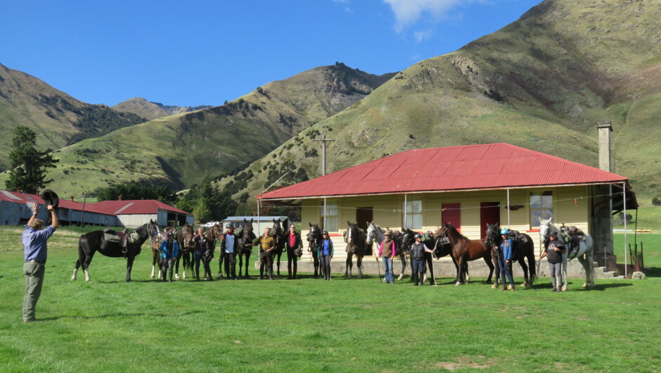 Horses at the Dingleburn station waiting to head home