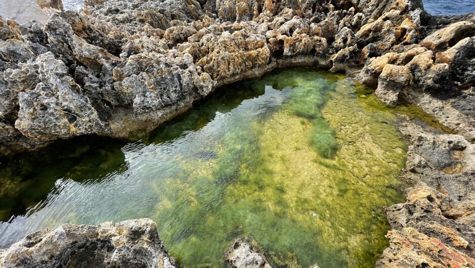 The Hauraki Gulf, New Zealand