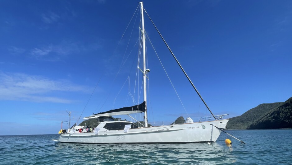 Bay of Islands Sailing