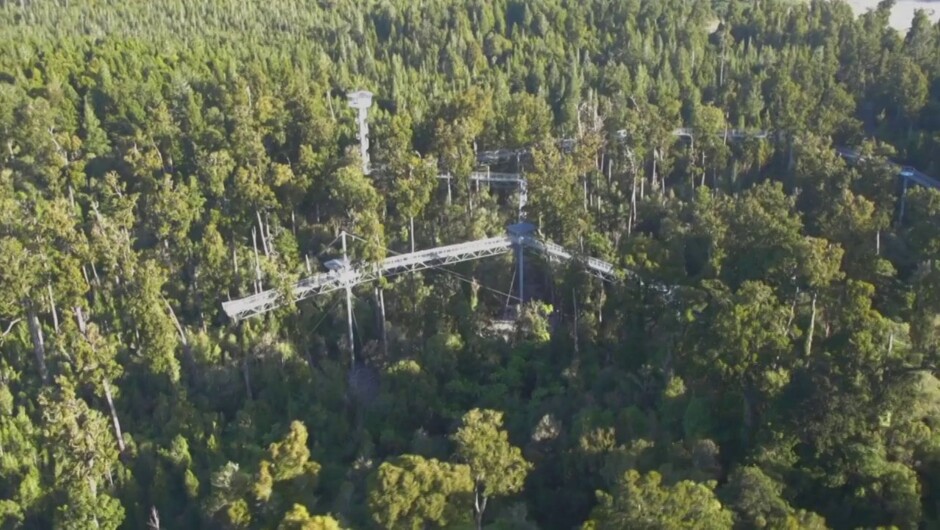 Treetop Walk & Cafe