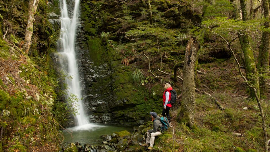 Guided hikes to a nearby Waterfall