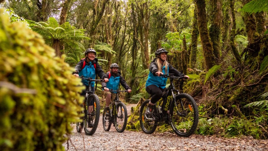 Fox Glacier E-Bike and Guided Walk