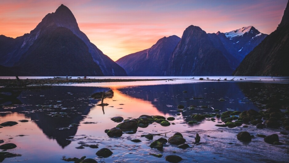 Embark on a full-day excursion to Milford Sound.