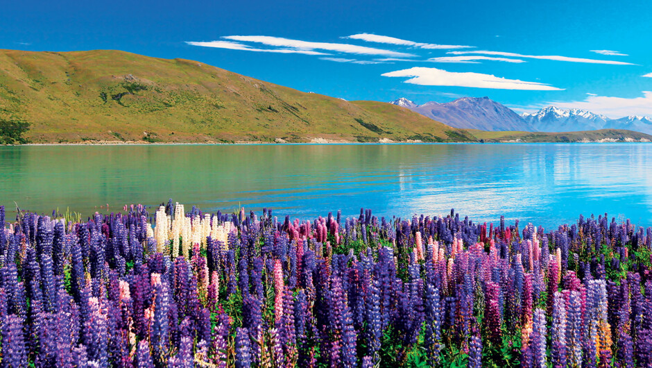 Lake Tekapo