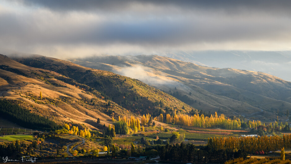 Autumn in Central Otago