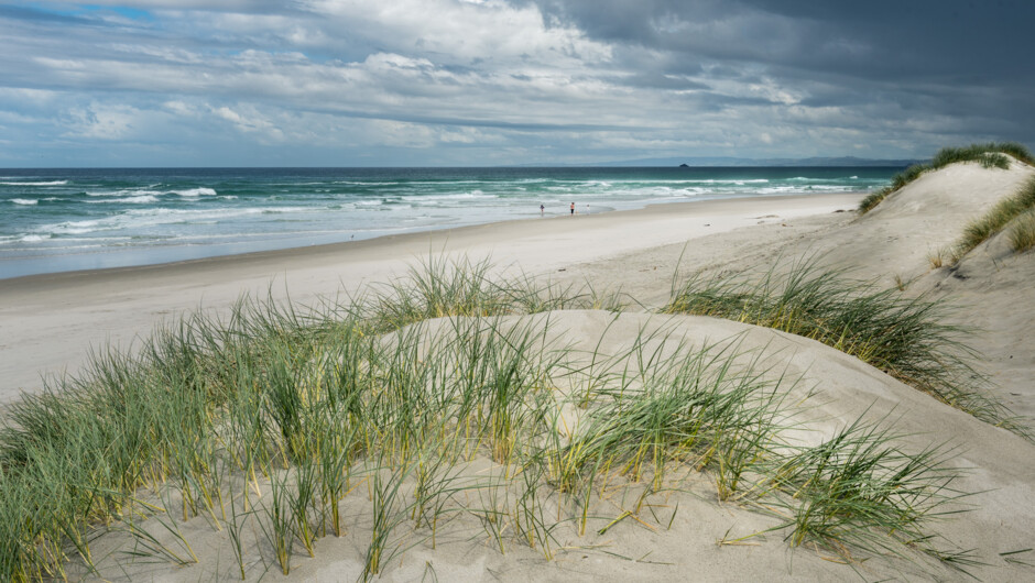 Dunedin beach