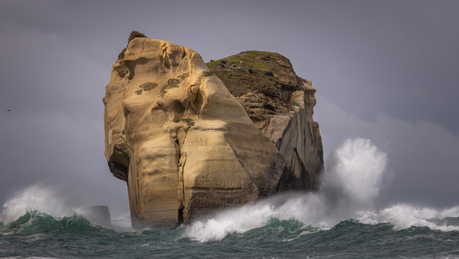 Stormy day near Dunedin