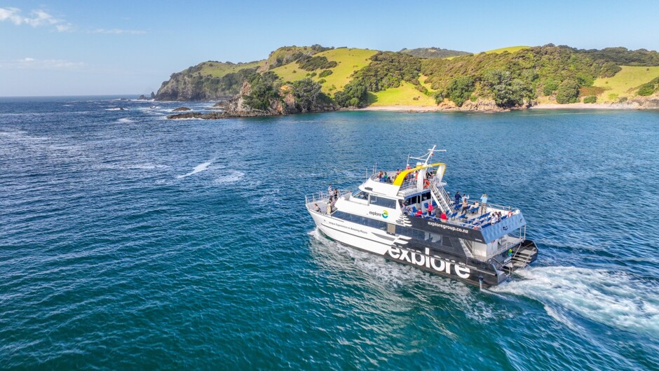 Dolphin Seek cruising through Bay of Islands