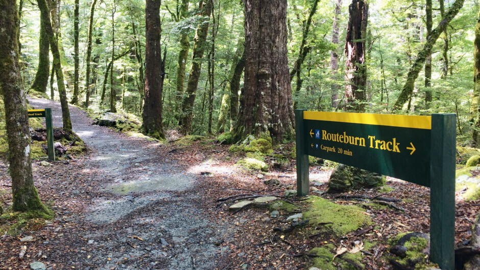 Routeburn Track