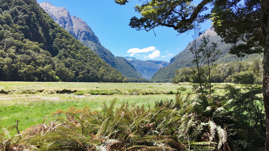 Routeburn Flats