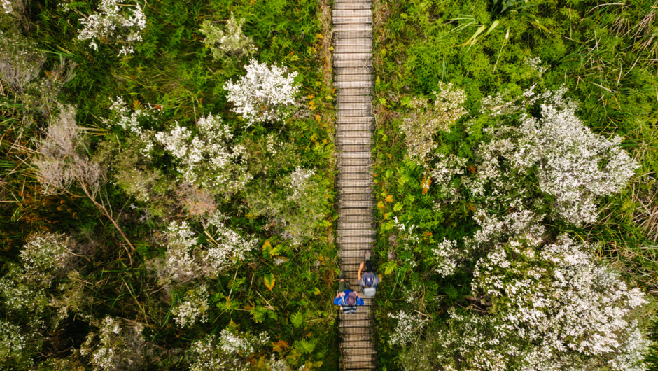 Great Barrier Island has beautiful hiking opportunities