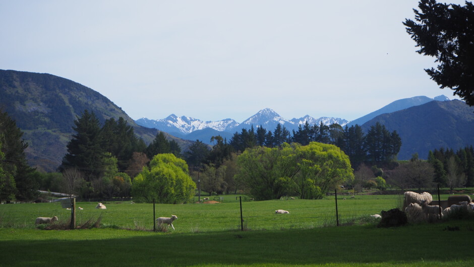 Snow capped peaks of Kahurangi National Park