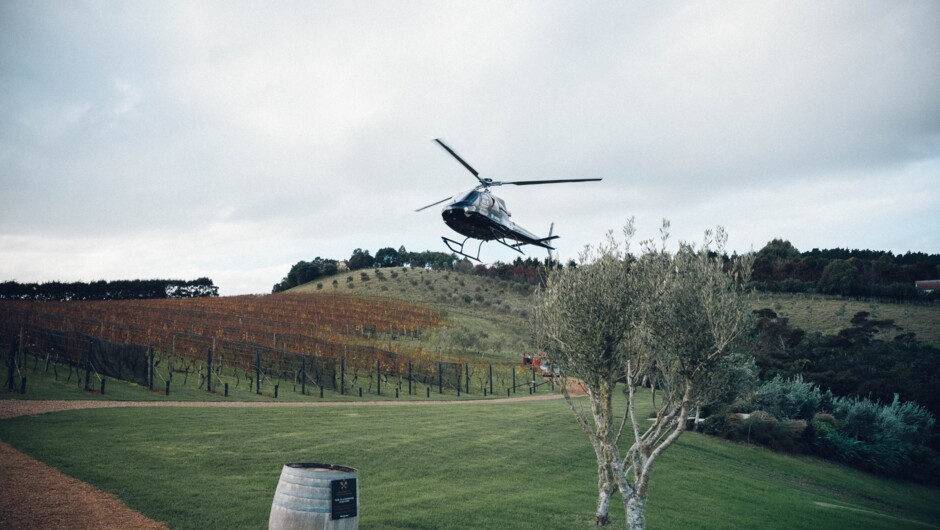 Enjoy a seamless Heli-Ferry experience that combines scenic flights with unforgettable vineyard dining.