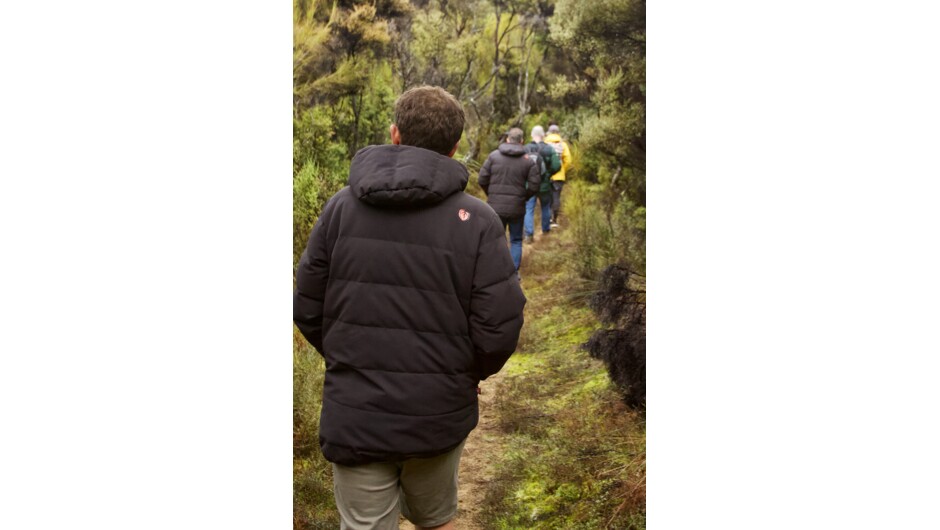 Pristine native forest and birdsong.