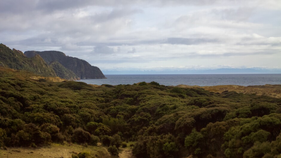 The perfect mix of forest, beaches, sand dunes and wetlands. Stewart Island has something for everyone.