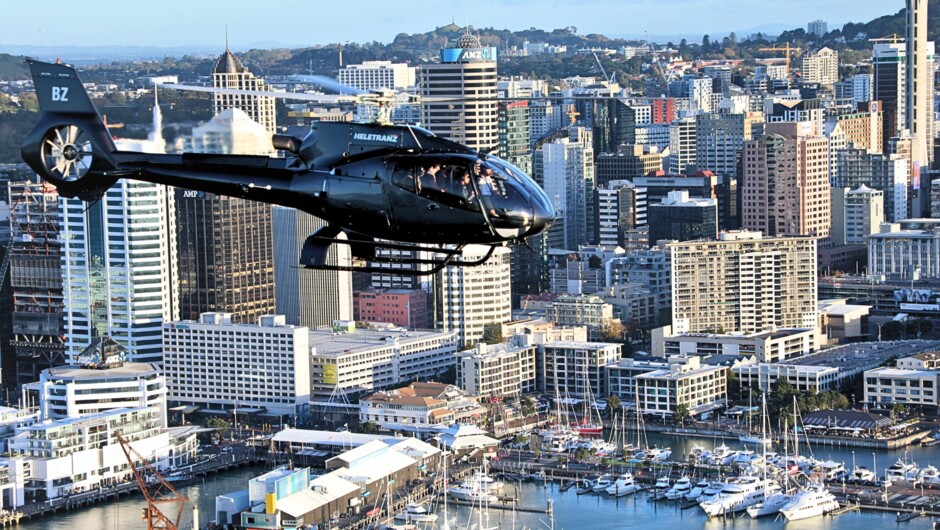 Auckland’s landscape is as unique as it gets—can’t get enough of these views