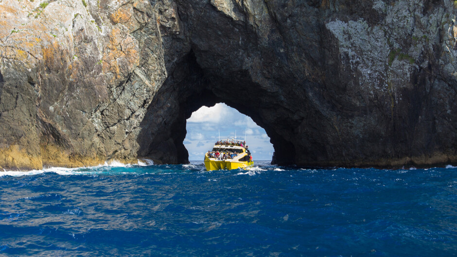 Bay of Islands - Hole in the Rock