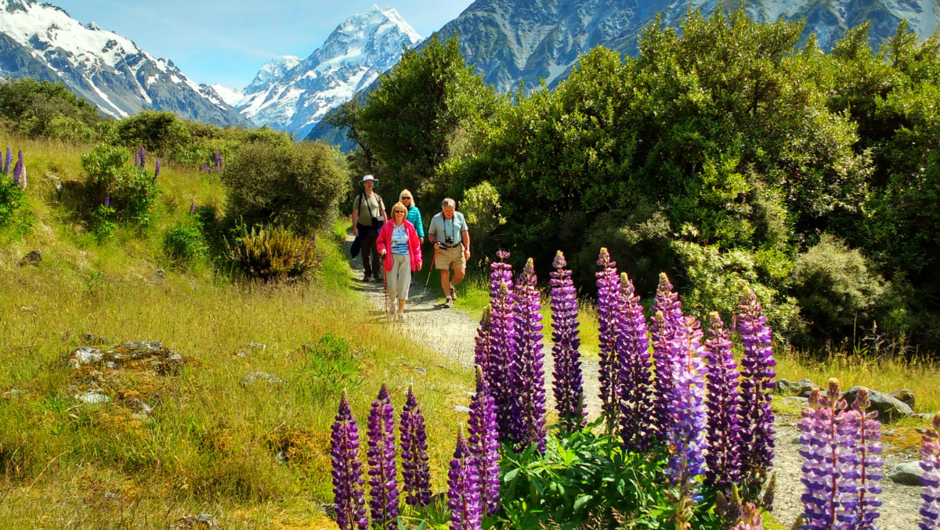 Guests walking at Aoraki / Mount Cook