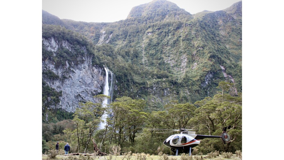 Campbells Kingdom one of our favourite places to immerse yourselves in all things Fiordland.