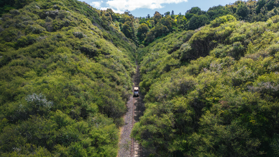 Cart in native bush