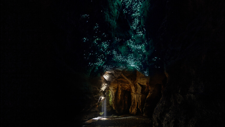 Glow Worm Caves