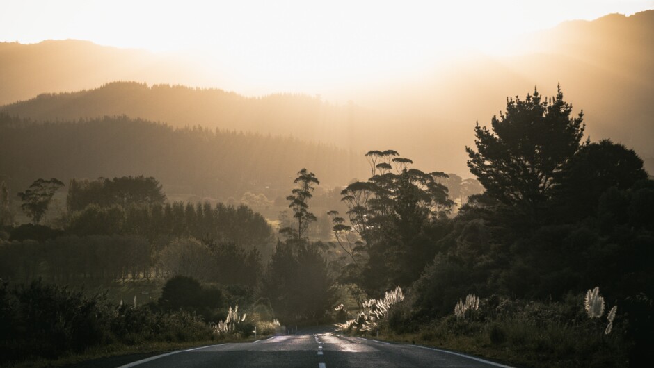 South Island Road Trip