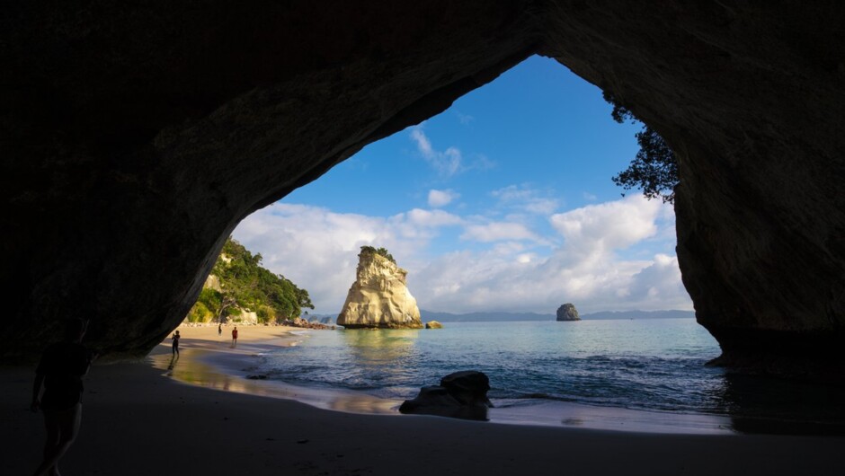 The Coromandel