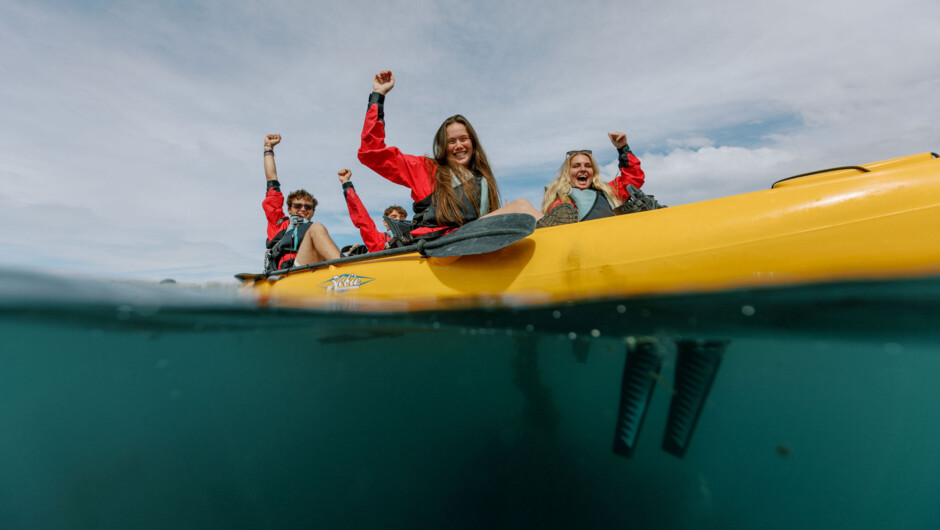 Seal kayak Kaikoura wildlife tour