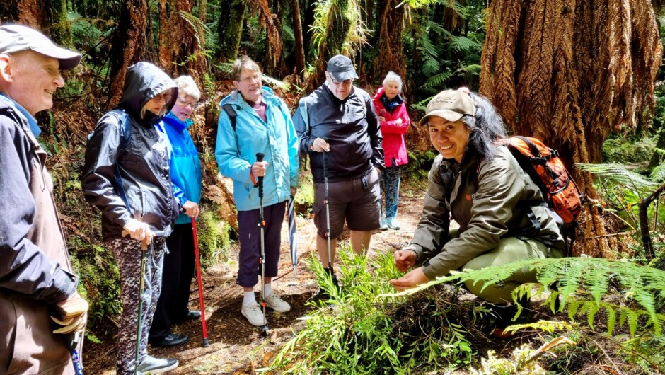 Explore Whirinaki Te Pua-a-Tane Conservation Park with a local guide