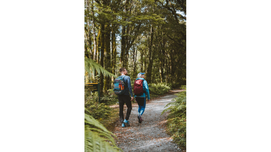 Walking the Milford Track